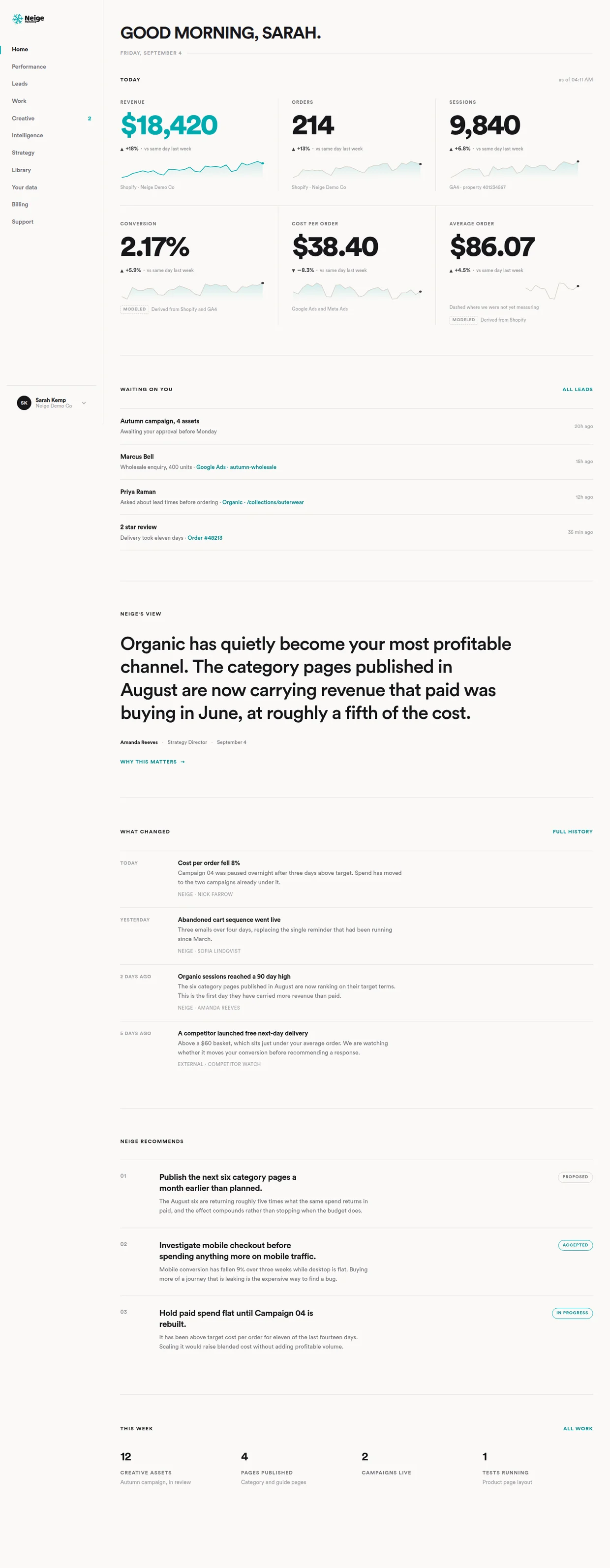 The full morning screen of the portal: today’s six figures, then what is waiting for approval, then a written view from the strategy director, then what changed over the past week, then three recommendations and their status.